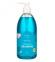 Deoproce Охлаждающий шампунь Refresh Cooling Shampoo